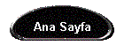 Ana Sayfa